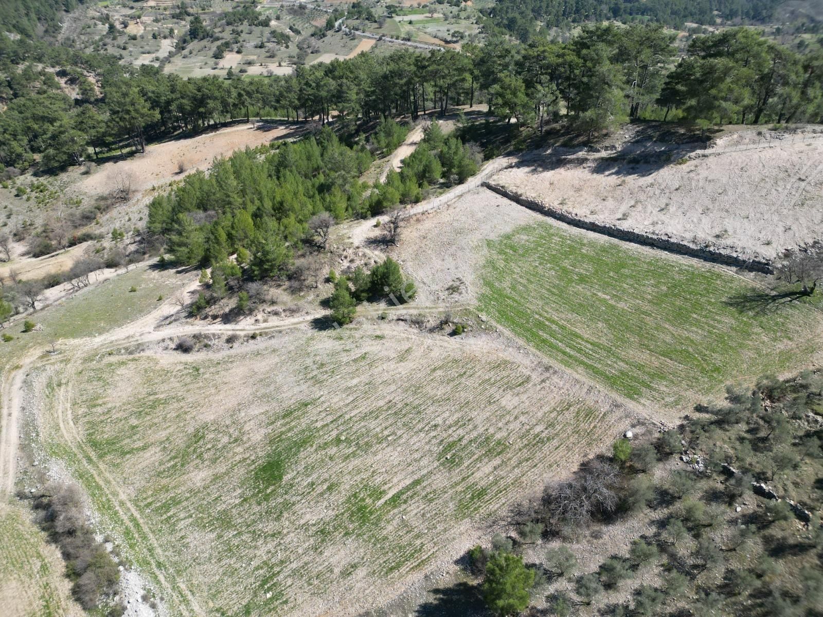 Muğla Menteşe Meke Mahallesinde 7.984 M² Satılık Tarla
