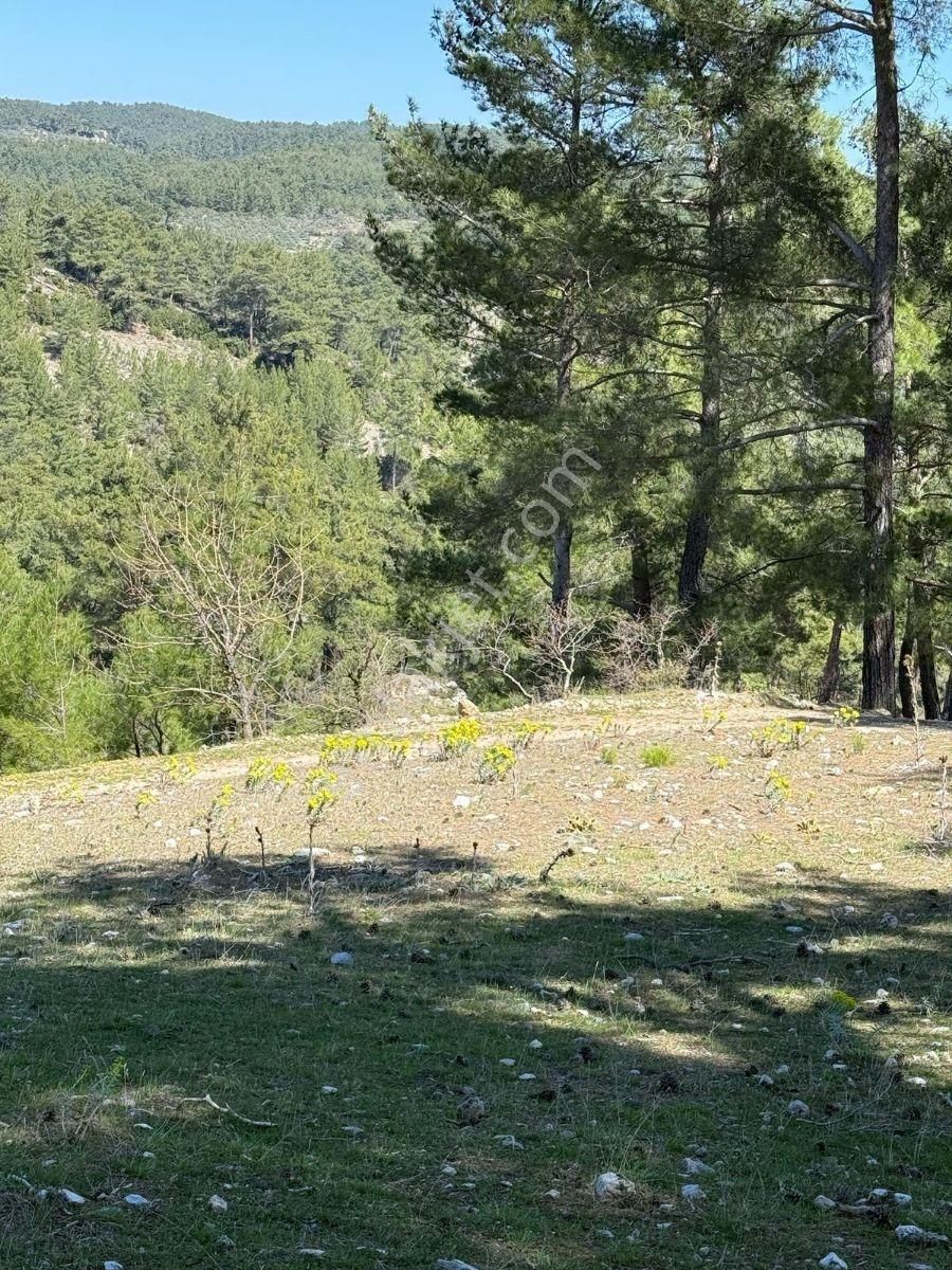 Muğla Menteşe Meke Mahallesinde 7.984 M² Satılık Tarla - Görsel 22