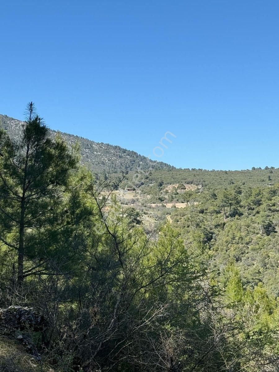 Muğla Menteşe Meke Mahallesinde 7.984 M² Satılık Tarla - Görsel 15