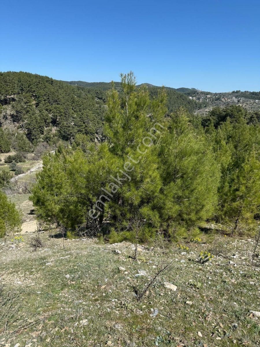 Muğla Menteşe Meke Mahallesinde 7.984 M² Satılık Tarla - Görsel 17