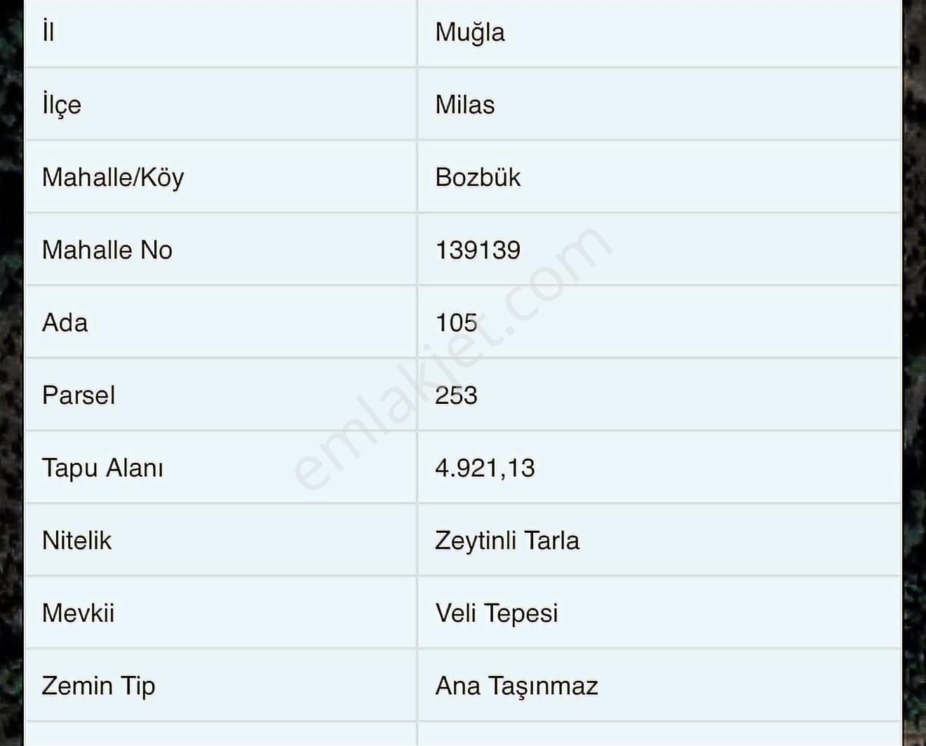 Muğla-milas- Bozbük'te Yol Üstü Yatırım Fırsatı - Görsel 2