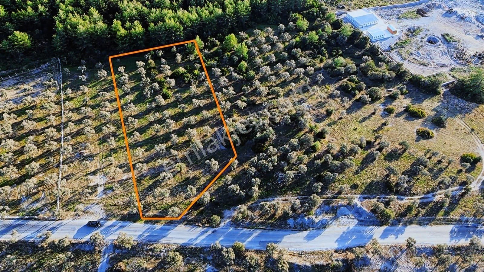 Muğla-milas- Bozbük'te Yol Üstü Yatırım Fırsatı