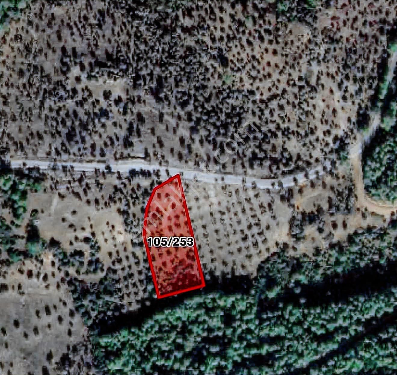 Muğla-milas- Bozbük'te Yol Üstü Yatırım Fırsatı - Görsel 4