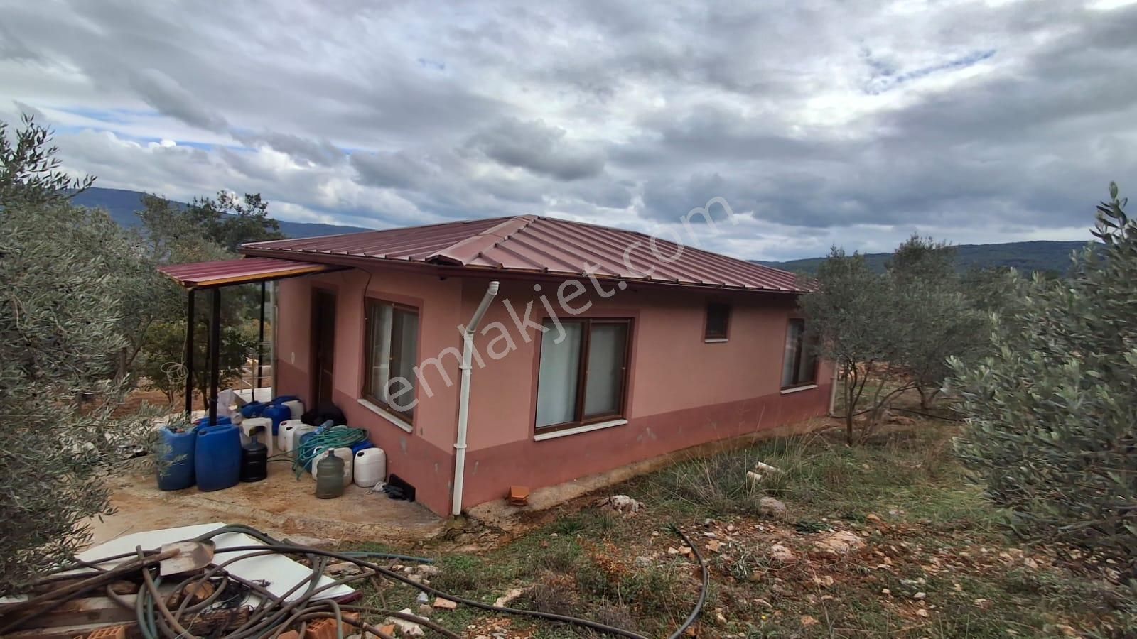 Muğla Menteşe Dağdibinde 27 Dönüm İçinde Evi Olan Tarla...acil - Görsel 29