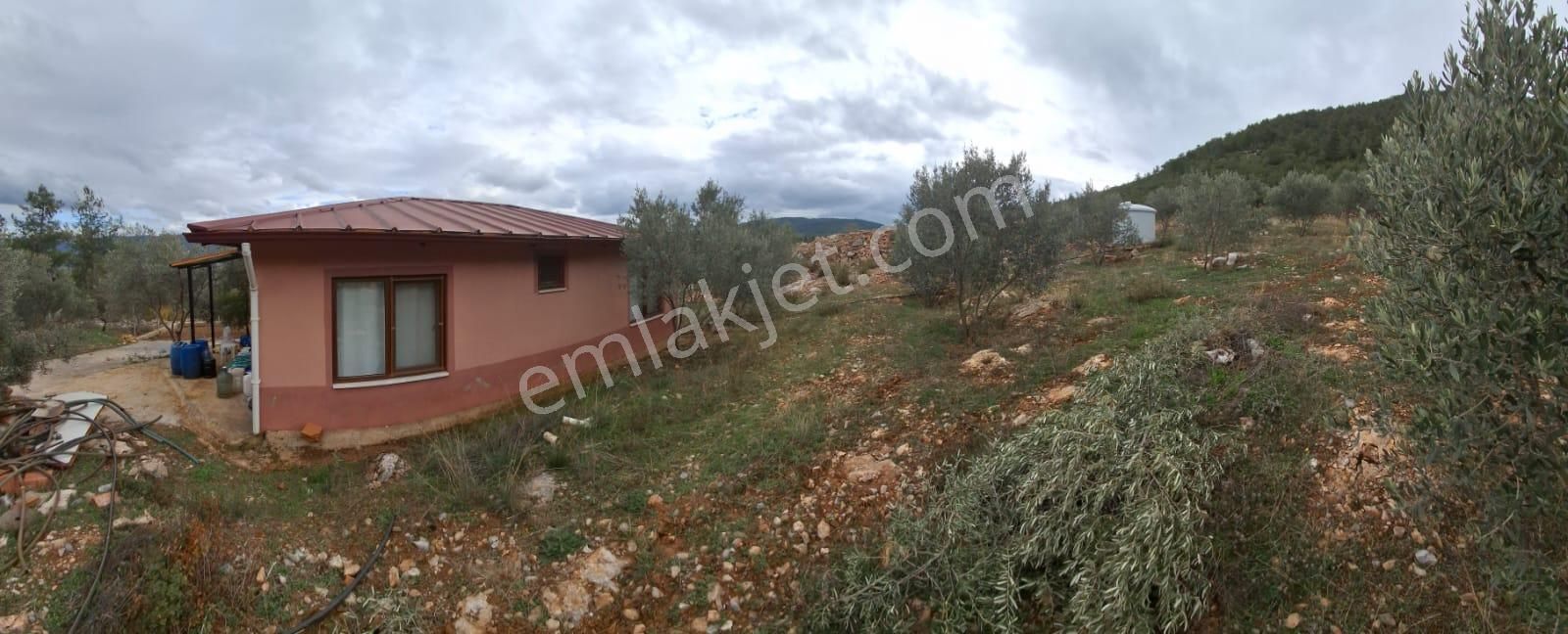 Muğla Menteşe Dağdibinde 27 Dönüm İçinde Evi Olan Tarla...acil - Görsel 31