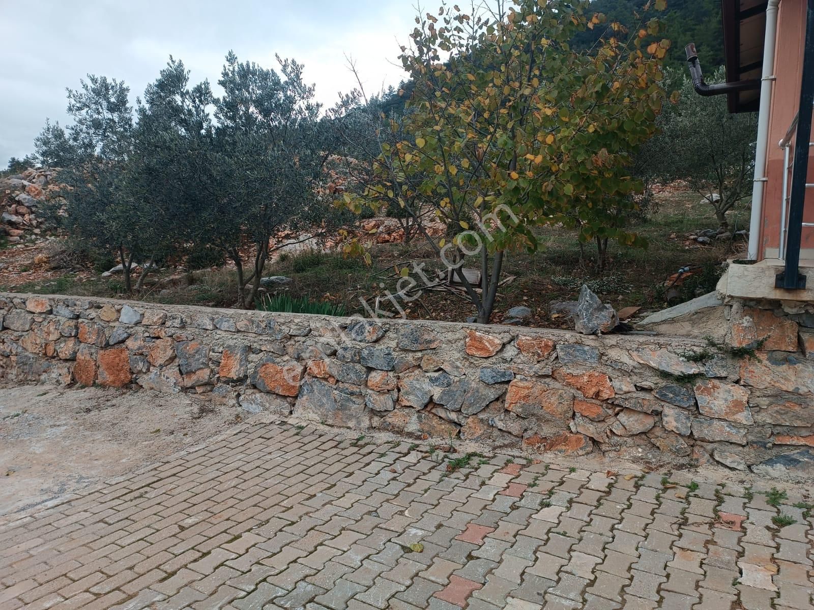Muğla Menteşe Dağdibinde 27 Dönüm İçinde Evi Olan Tarla...acil - Görsel 21