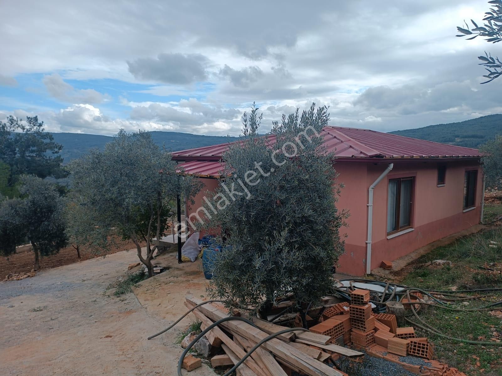 Muğla Menteşe Dağdibinde 27 Dönüm İçinde Evi Olan Tarla...acil - Görsel 12