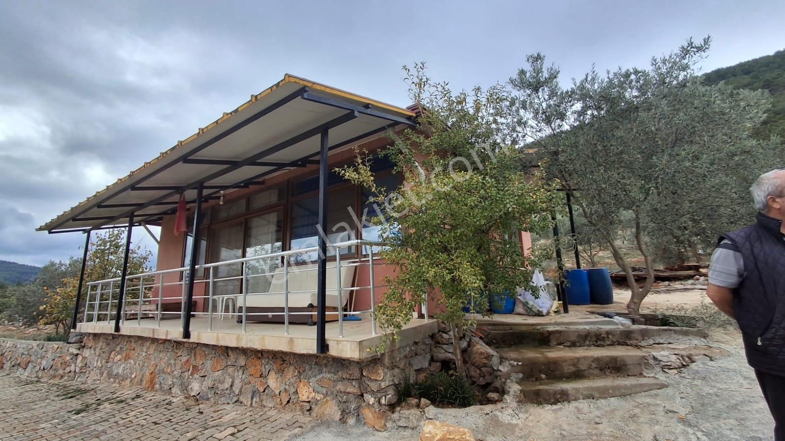 Muğla Menteşe Dağdibinde 27 Dönüm İçinde Evi Olan Tarla...acil - Görsel 23