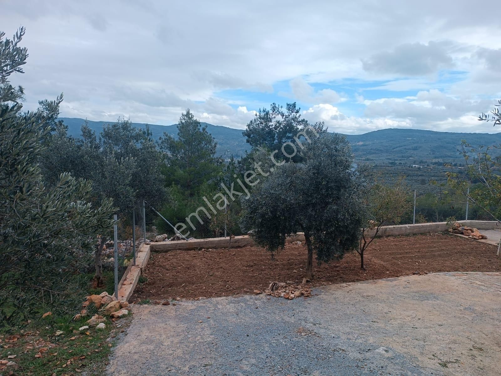 Muğla Menteşe Dağdibinde 27 Dönüm İçinde Evi Olan Tarla...acil - Görsel 9