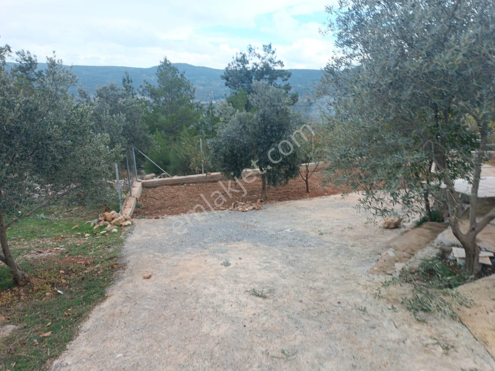 Muğla Menteşe Dağdibinde 27 Dönüm İçinde Evi Olan Tarla...acil - Görsel 7
