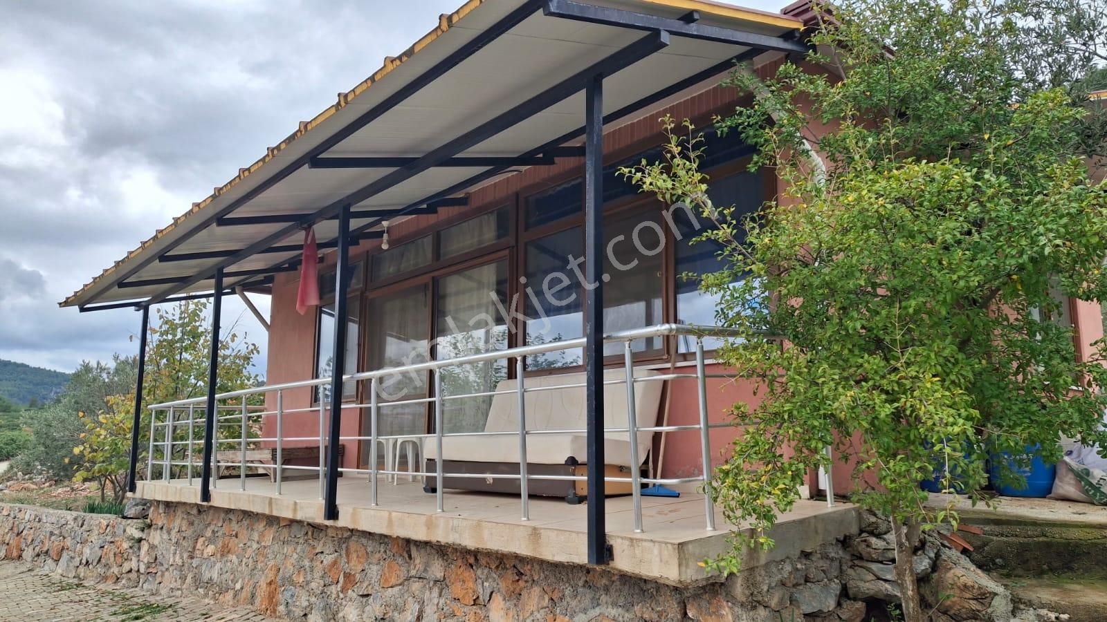 Muğla Menteşe Dağdibinde 27 Dönüm İçinde Evi Olan Tarla...acil - Görsel 22