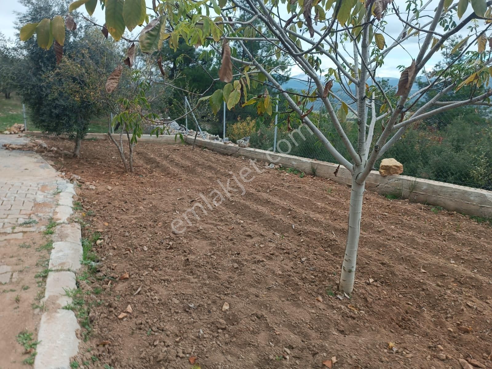 Muğla Menteşe Dağdibinde 27 Dönüm İçinde Evi Olan Tarla...acil - Görsel 18