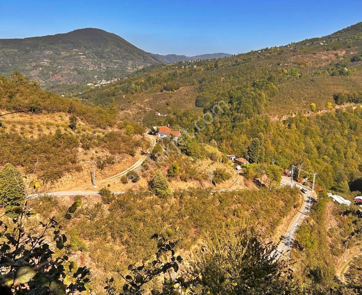 Emlakevim - Sakarya Hendek Göksu Mah.de Satılık Arsa - - Görsel 5