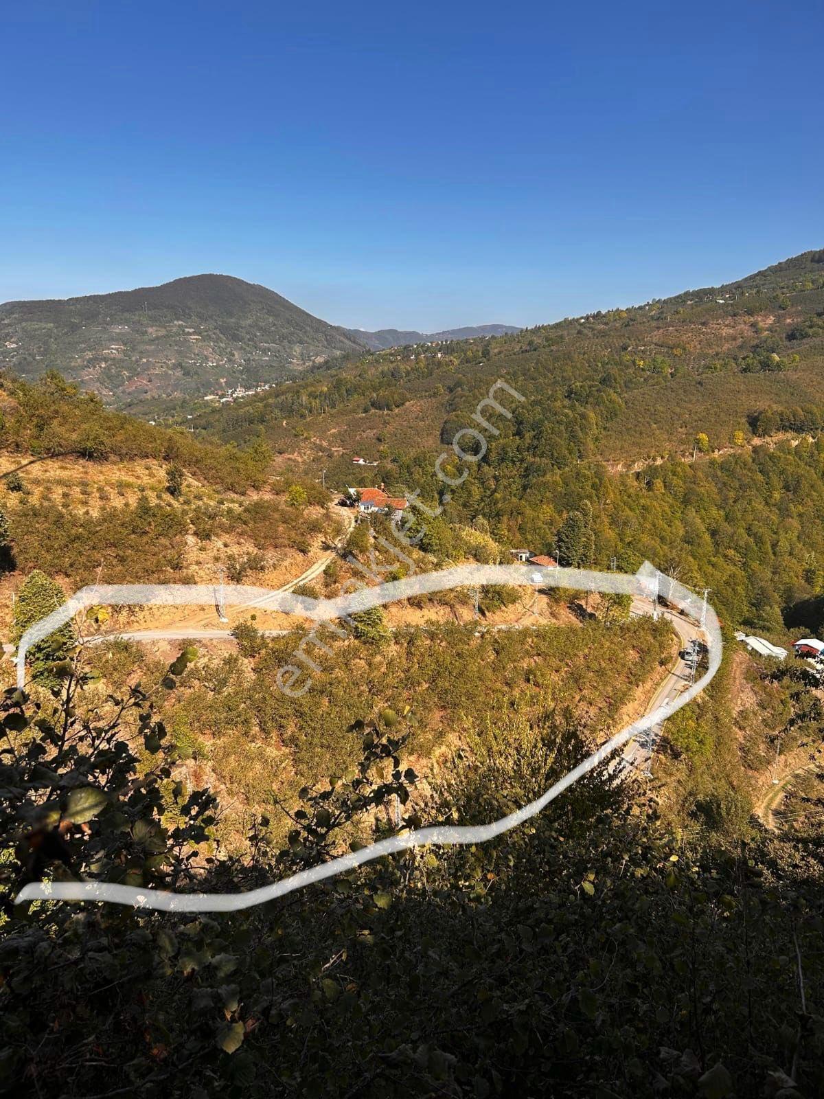 Emlakevim - Sakarya Hendek Göksu Mah.de Satılık Arsa - - Görsel 16