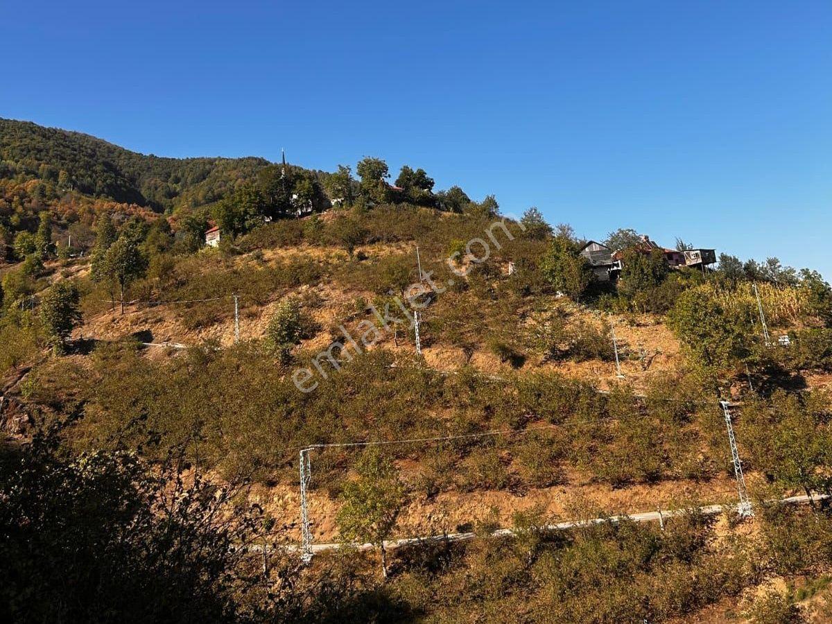 Emlakevim - Sakarya Hendek Göksu Mah.de Satılık Arsa - - Görsel 4