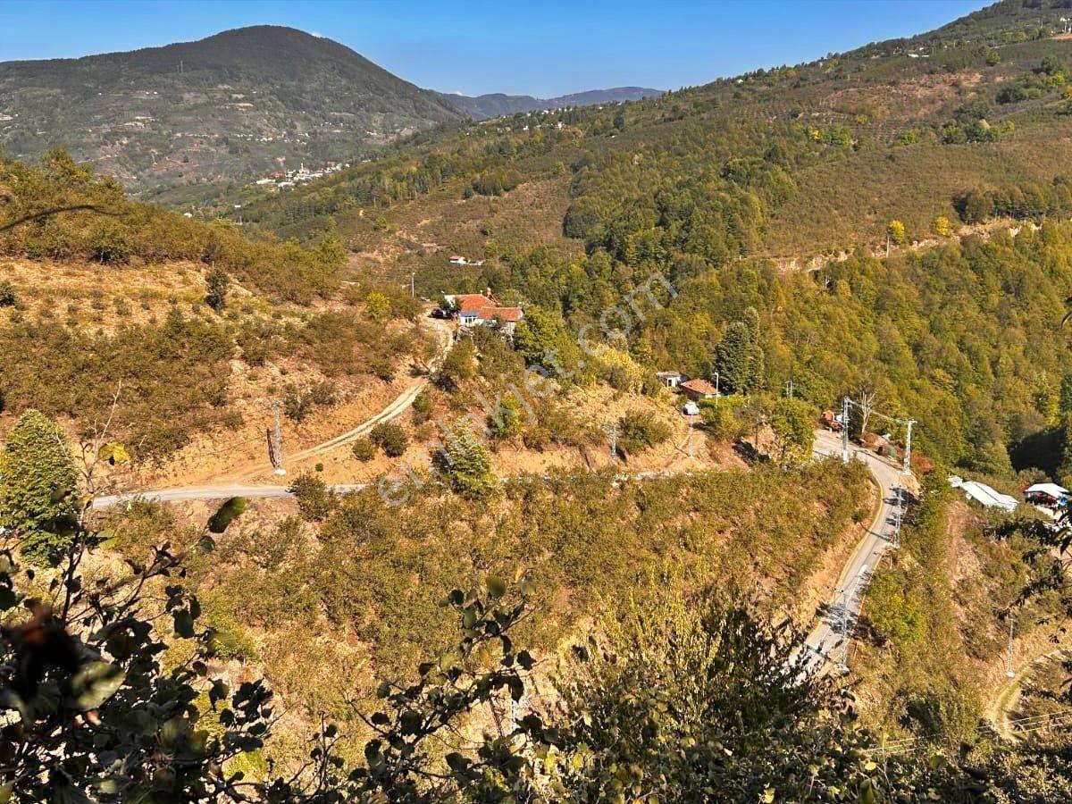 Emlakevim - Sakarya Hendek Göksu Mah.de Satılık Arsa - - Görsel 8