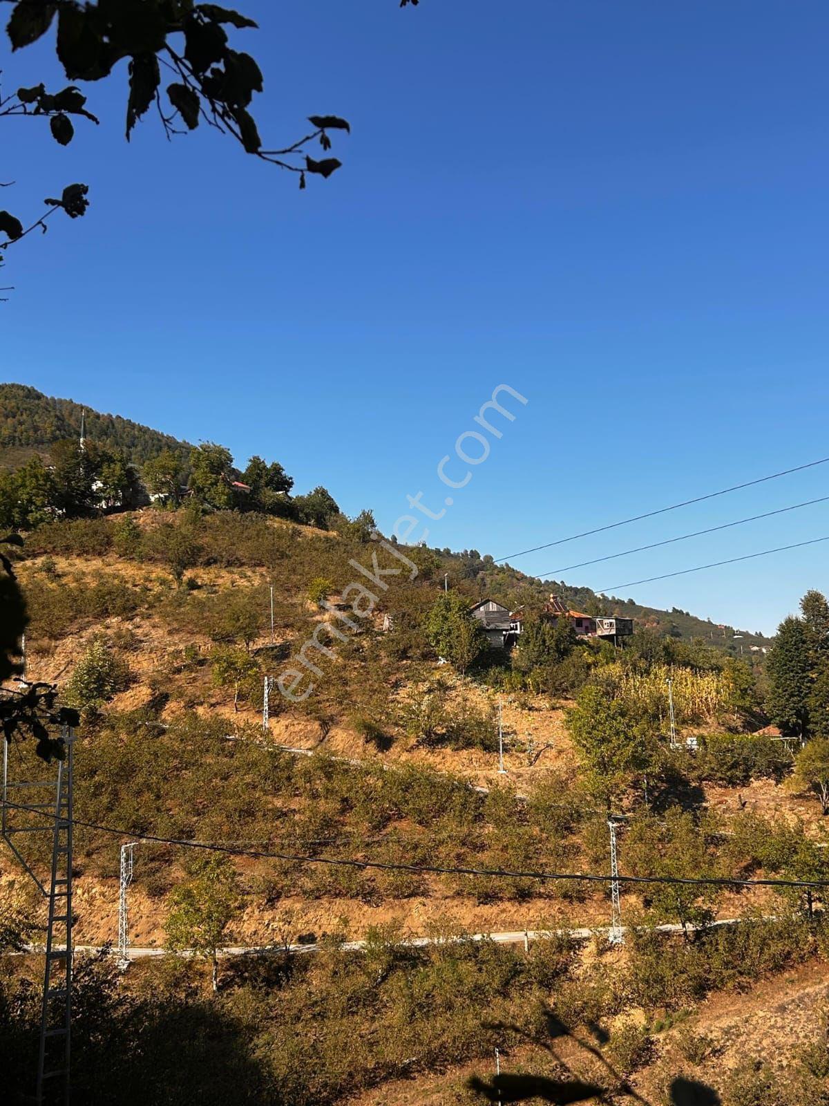 Emlakevim - Sakarya Hendek Göksu Mah.de Satılık Arsa - - Görsel 12