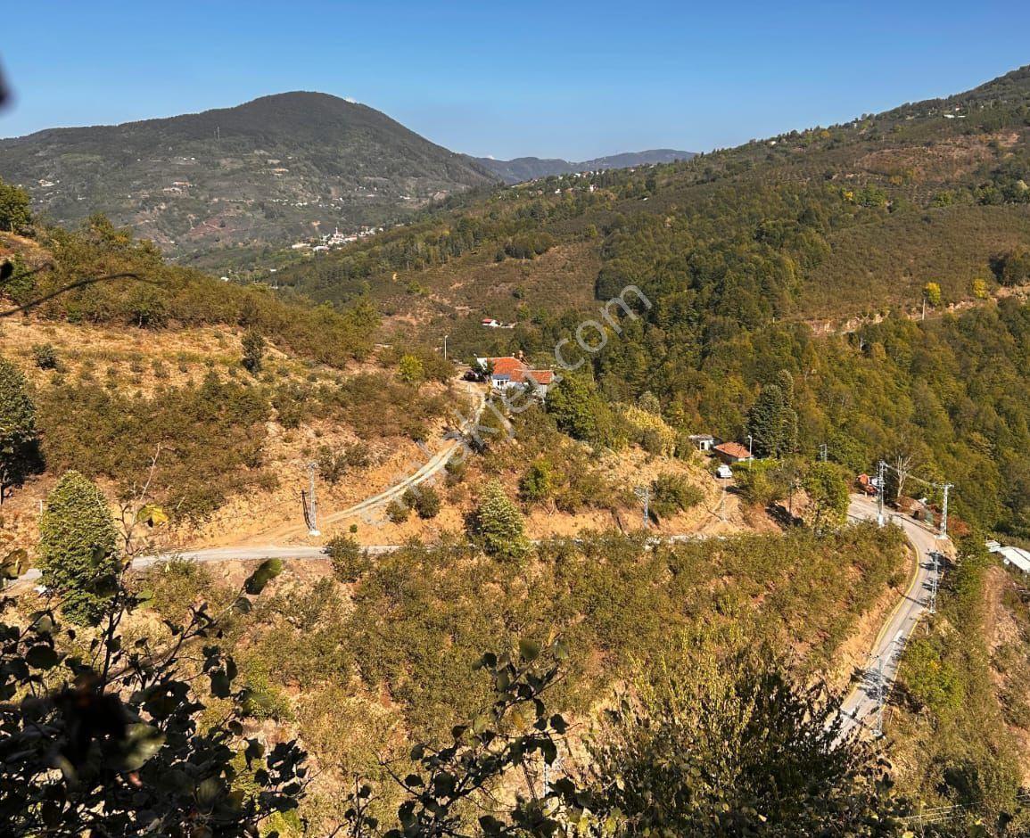 Emlakevim - Sakarya Hendek Göksu Mah.de Satılık Arsa - - Görsel 7