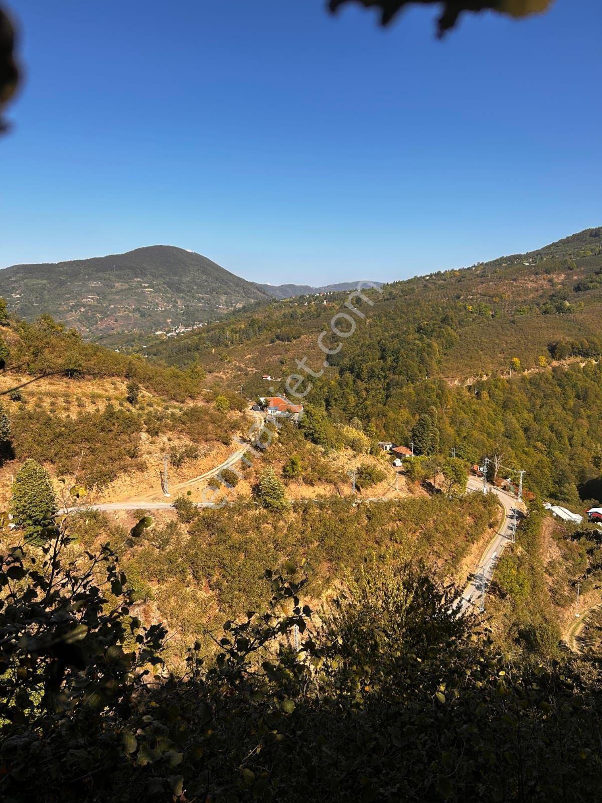 Emlakevim - Sakarya Hendek Göksu Mah.de Satılık Arsa - - Görsel 11