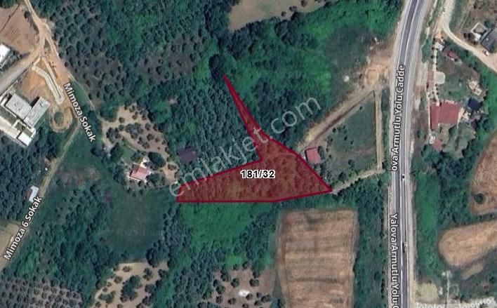 Koru'da İmar Sınırında Yatırım Fırsatı - Görsel 5