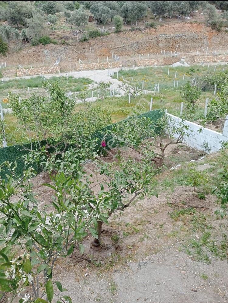 Özdere Cumhuriyet’de 250 M2 Bahçe Ve Betonarme Konut - Görsel 32