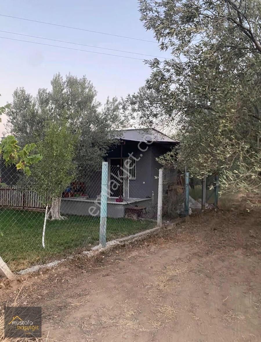 Mustafa Başyiğit Emlaktan Efendi De Tektapu Satılık Hobi Bahçesi
