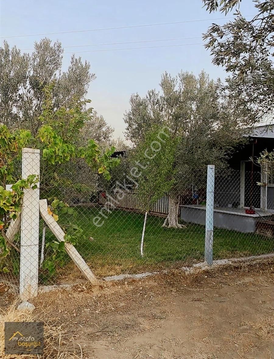 Mustafa Başyiğit Emlaktan Efendi De Tektapu Satılık Hobi Bahçesi - Görsel 13