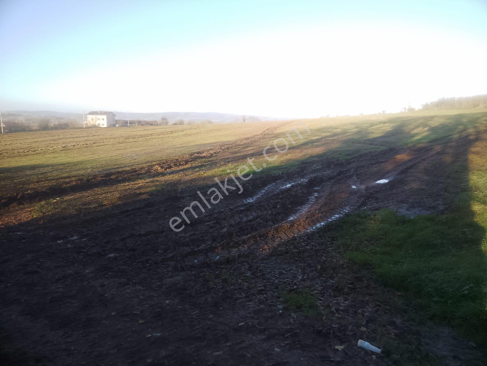 Satılık Sakarya Ikızceosmanıye Mahallesınde Konut Imarlı Arsa