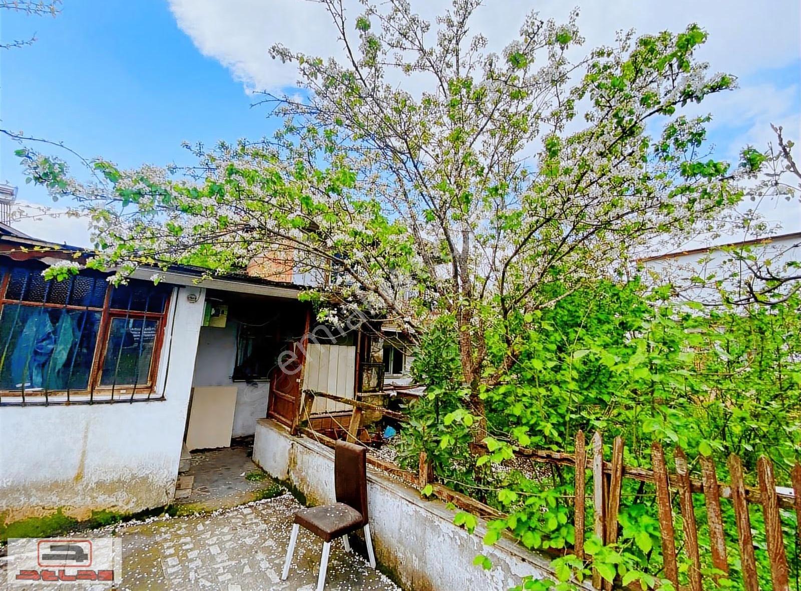 Atlas Emlak Satılık Arsa 325m2 Kartepe Acısu Derbent - Görsel 24