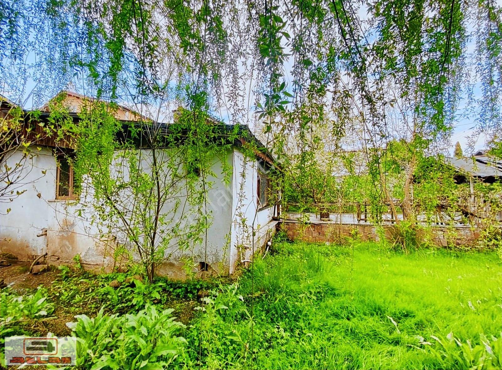 Atlas Emlak Satılık Arsa 325m2 Kartepe Acısu Derbent - Görsel 25