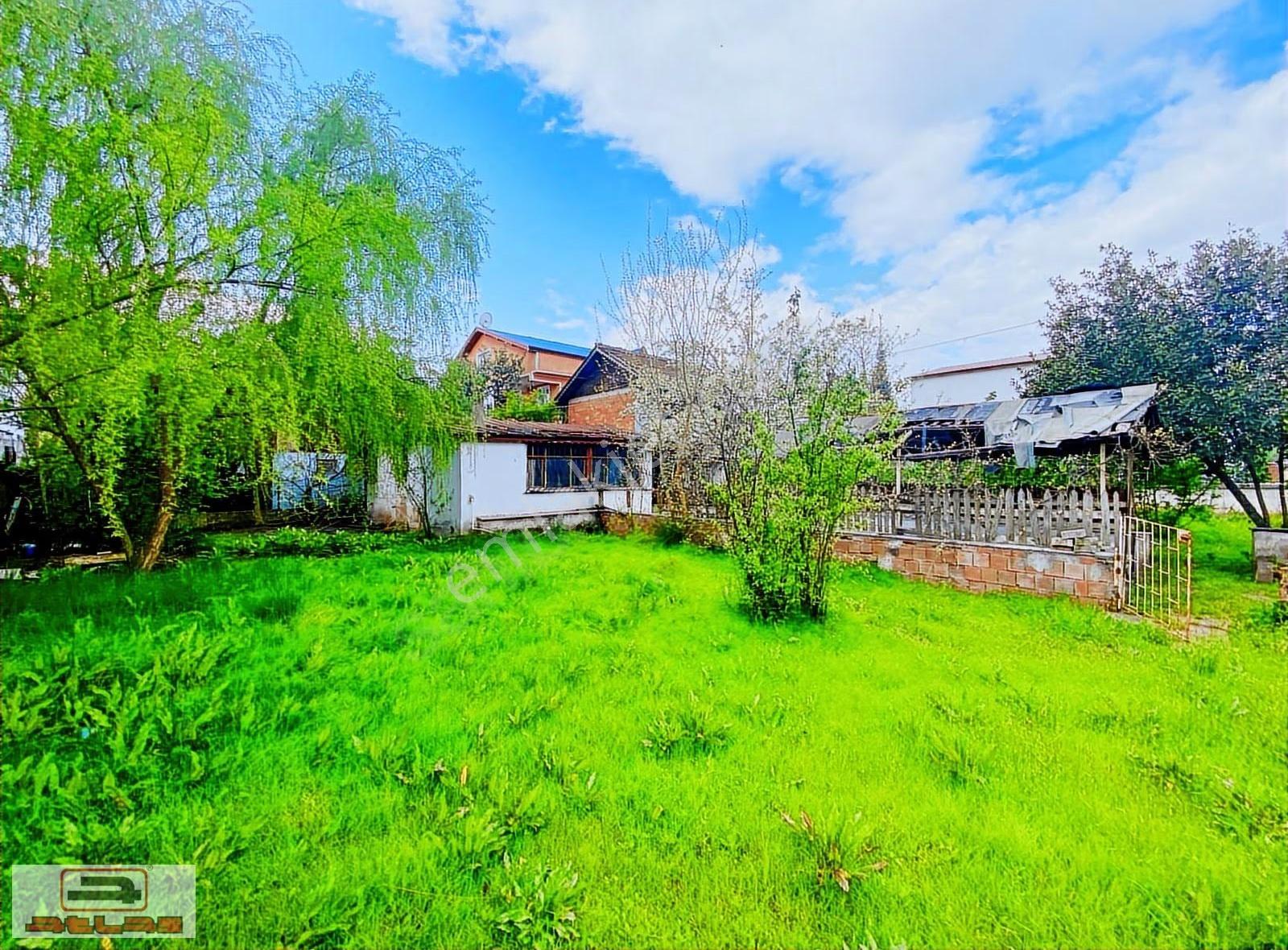 Atlas Emlak Satılık Arsa 325m2 Kartepe Acısu Derbent - Görsel 6