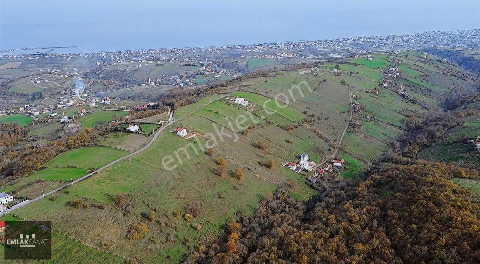 Emlak Sanatı | Kurugökçe'de 2351 M2 Ormana Komşu Arazi - Görsel 7
