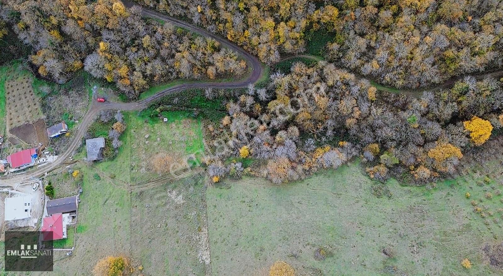 Kurugökçe' De 1854 M2 Orman Ve Kadastro Yoluna Cephe Arazi - Görsel 6