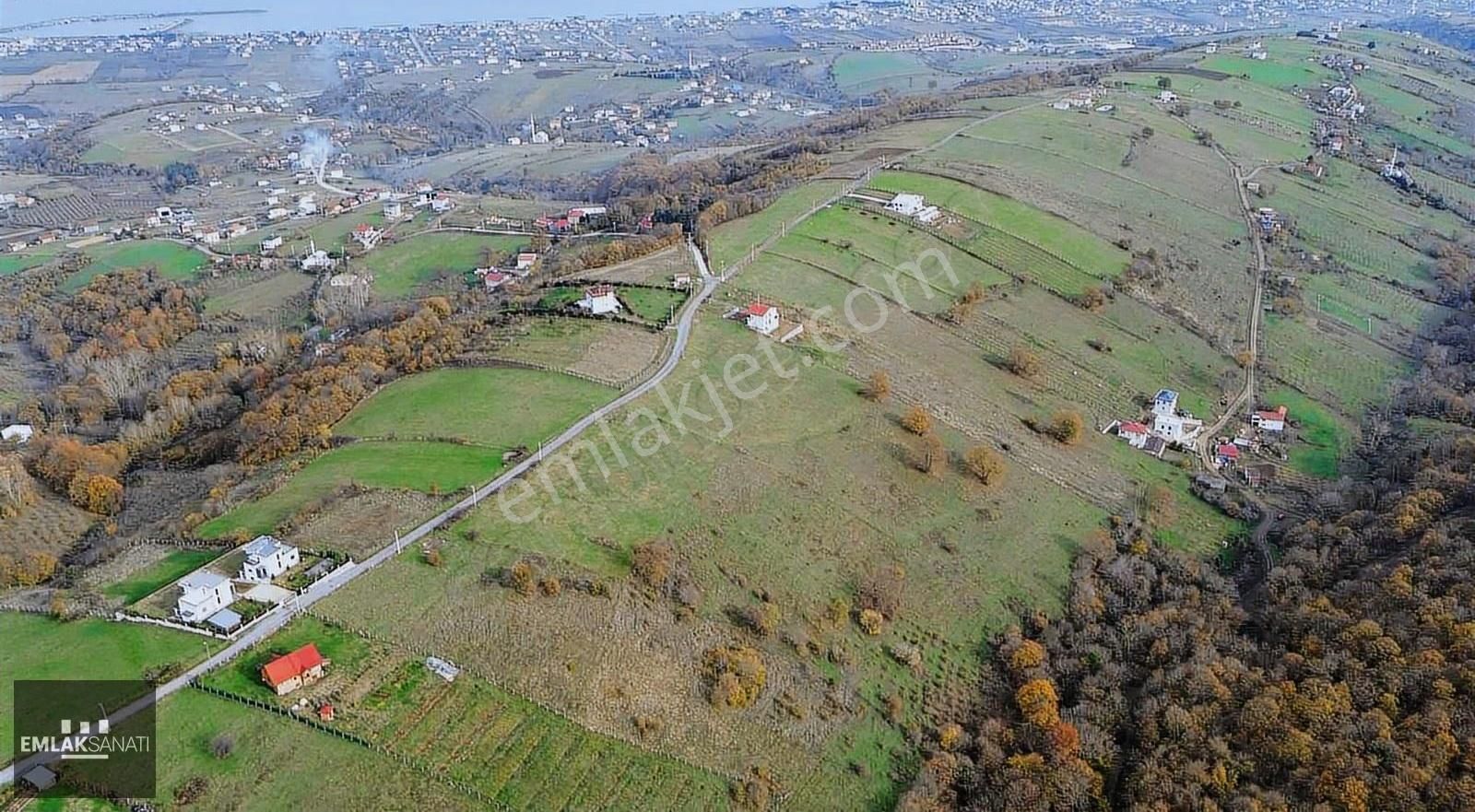 Kurugökçe' De 1854 M2 Orman Ve Kadastro Yoluna Cephe Arazi - Görsel 13