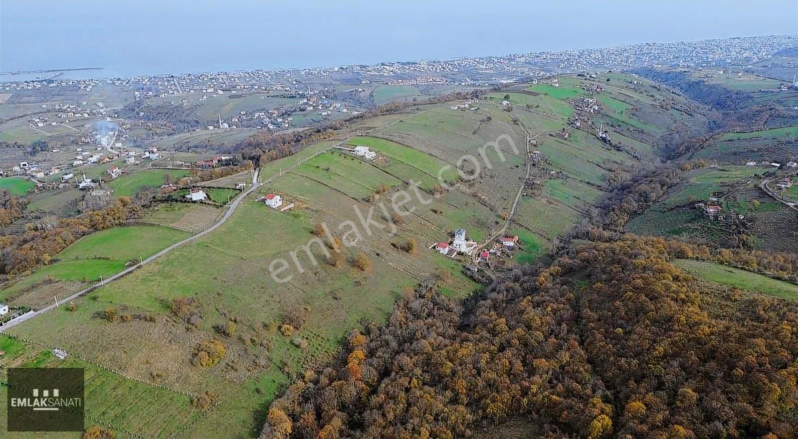 Kurugökçe' De 1854 M2 Orman Ve Kadastro Yoluna Cephe Arazi - Görsel 12