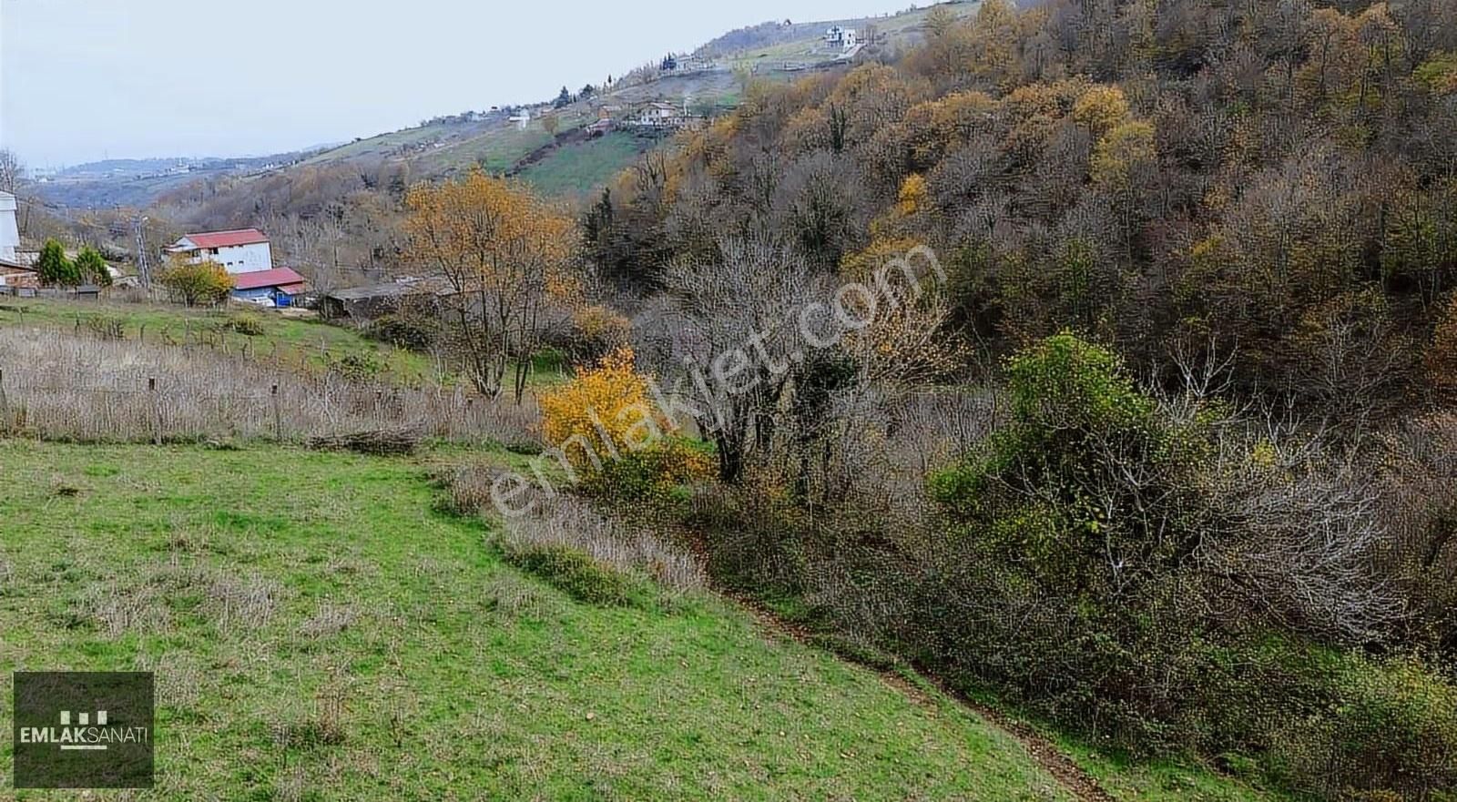 Kurugökçe' De 1854 M2 Orman Ve Kadastro Yoluna Cephe Arazi - Görsel 16