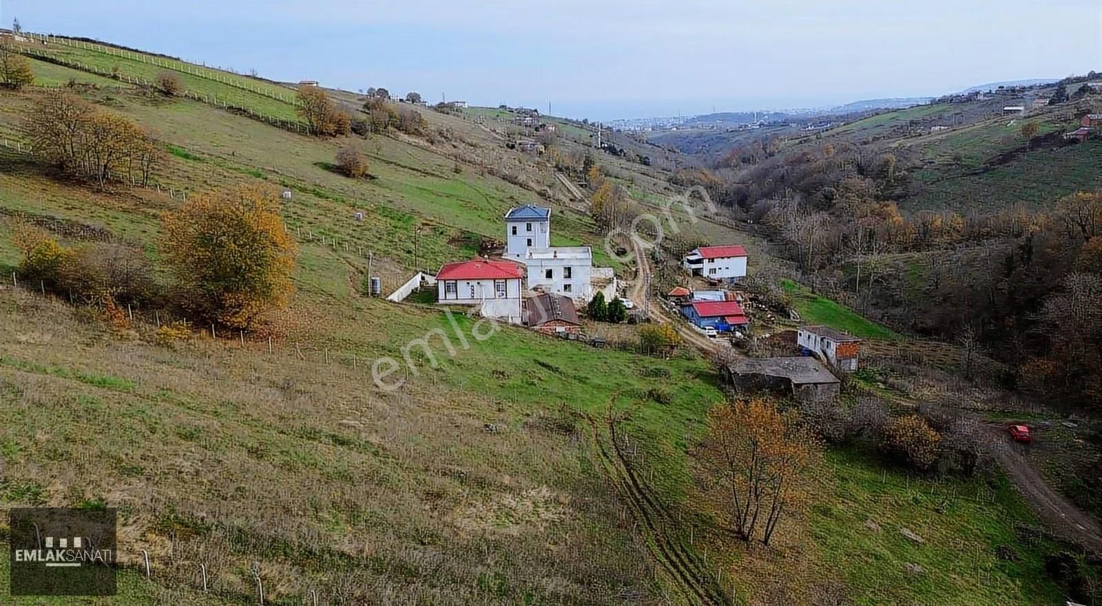 Kurugökçe' De 1854 M2 Orman Ve Kadastro Yoluna Cephe Arazi - Görsel 8