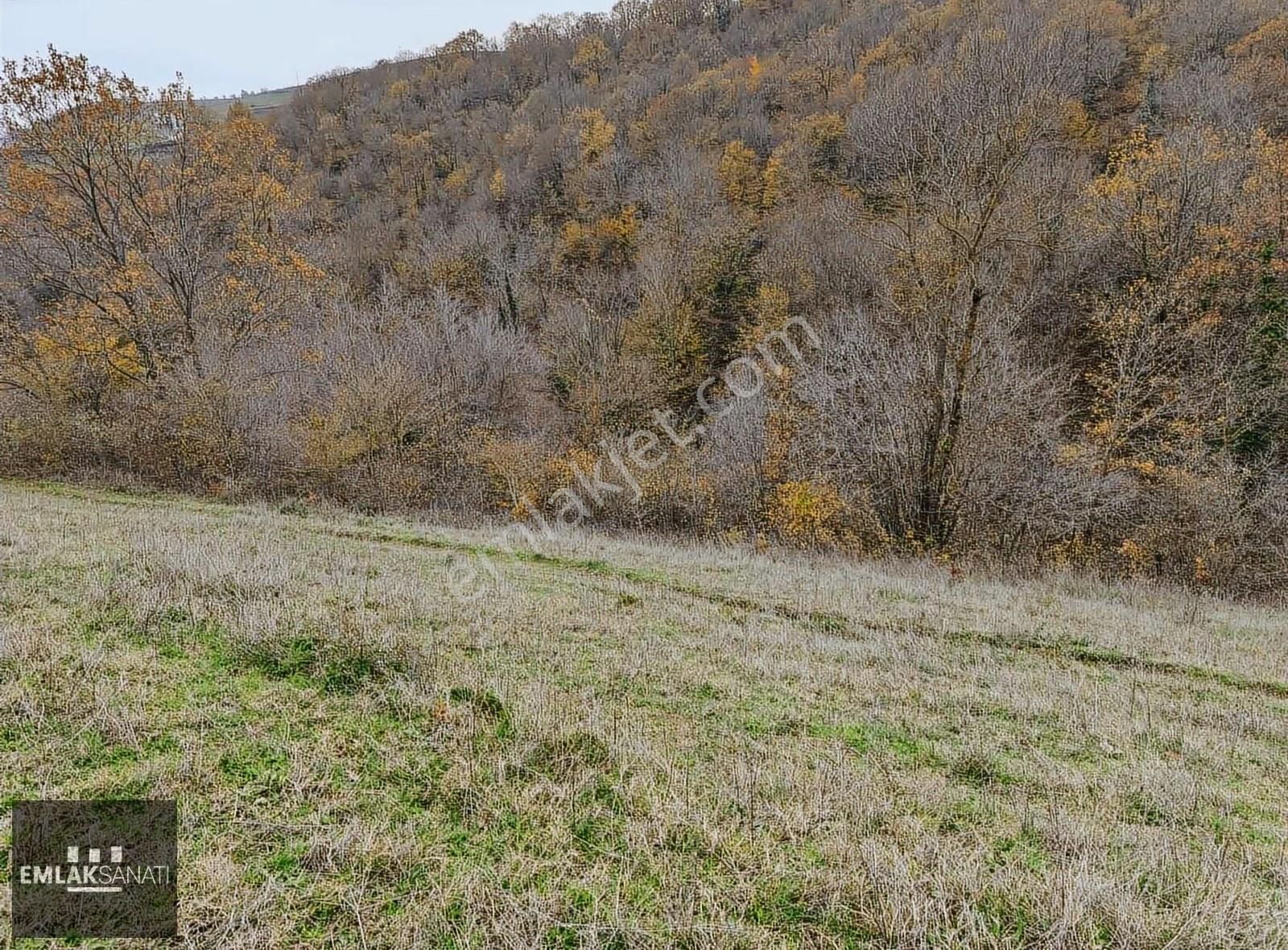 Emlak Sanatı | Kurugökçe ' De 3608 M2 Mükemmel Manzara - Görsel 9