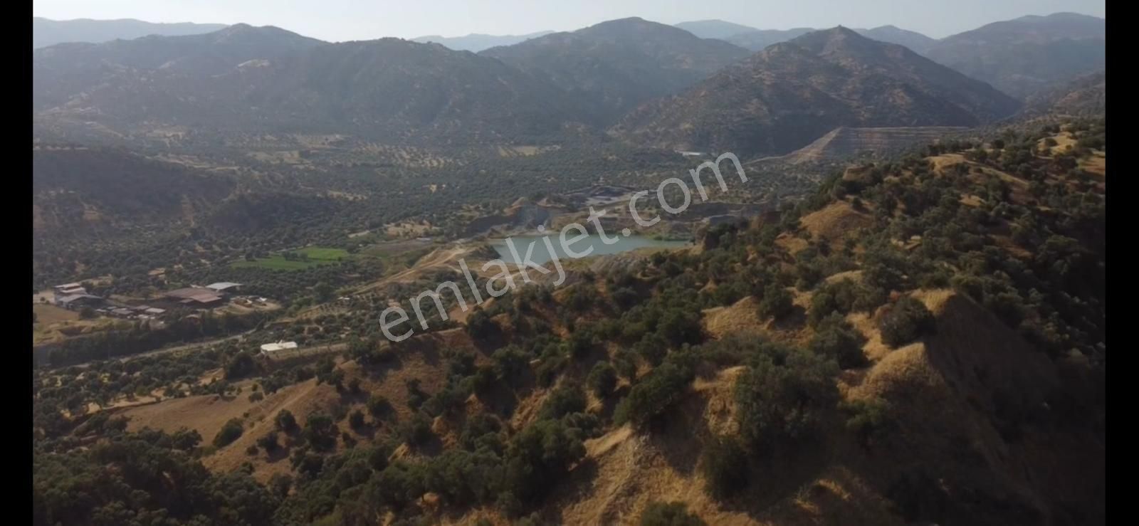 Şentürk Gayrimenkul | Ocaklı'da 15.287 M² Zeytinlik | Yatırımlık - Görsel 4