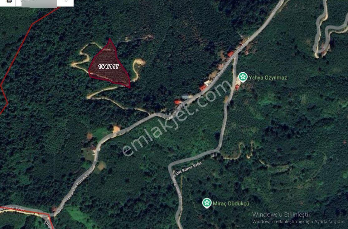Giresun Merkez Erikliman Köyün De Satılık 5381 M2 Fındık Bahçesi - Görsel 2