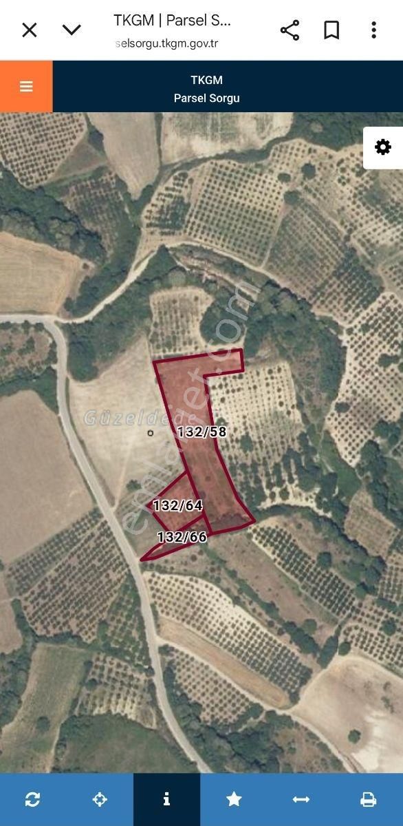 Anka Gm' Den Deydinlerde Mahallesinde 8250 M2 Satılık Tarla - Görsel 4