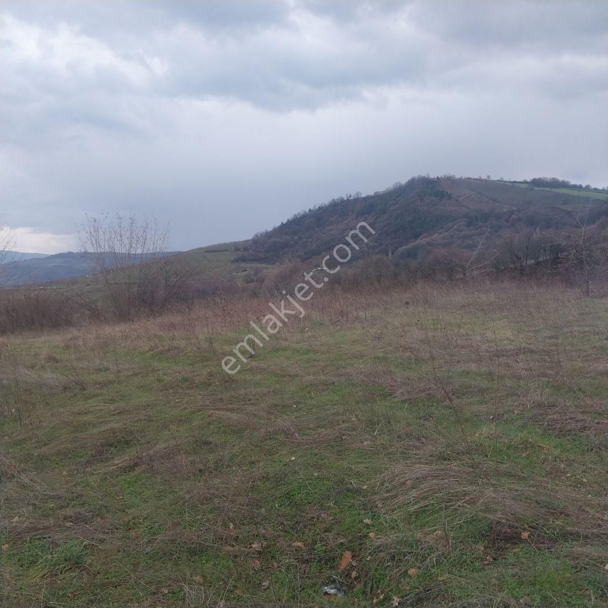 Anka Gm' Den Deydinlerde Mahallesinde 8250 M2 Satılık Tarla