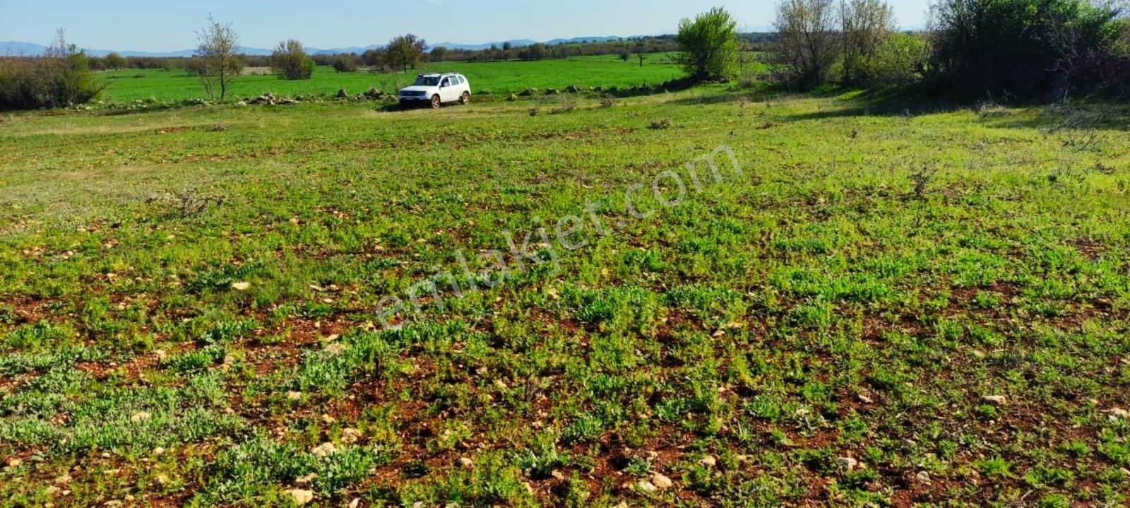 Kula'da Satılık 14250 M2 Düz Tarla (video) - Görsel 24