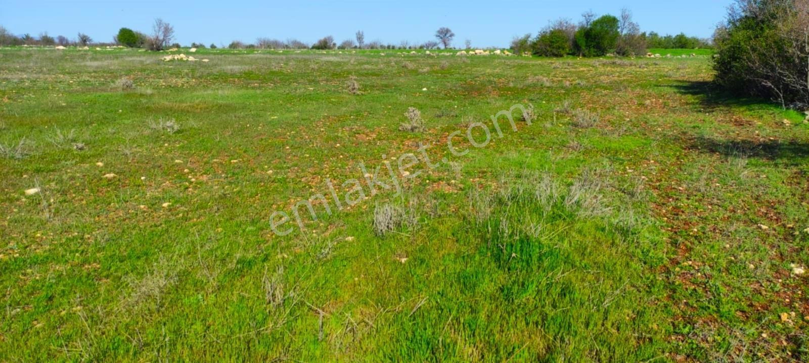 Kula'da Satılık 14250 M2 Düz Tarla (video) - Görsel 23