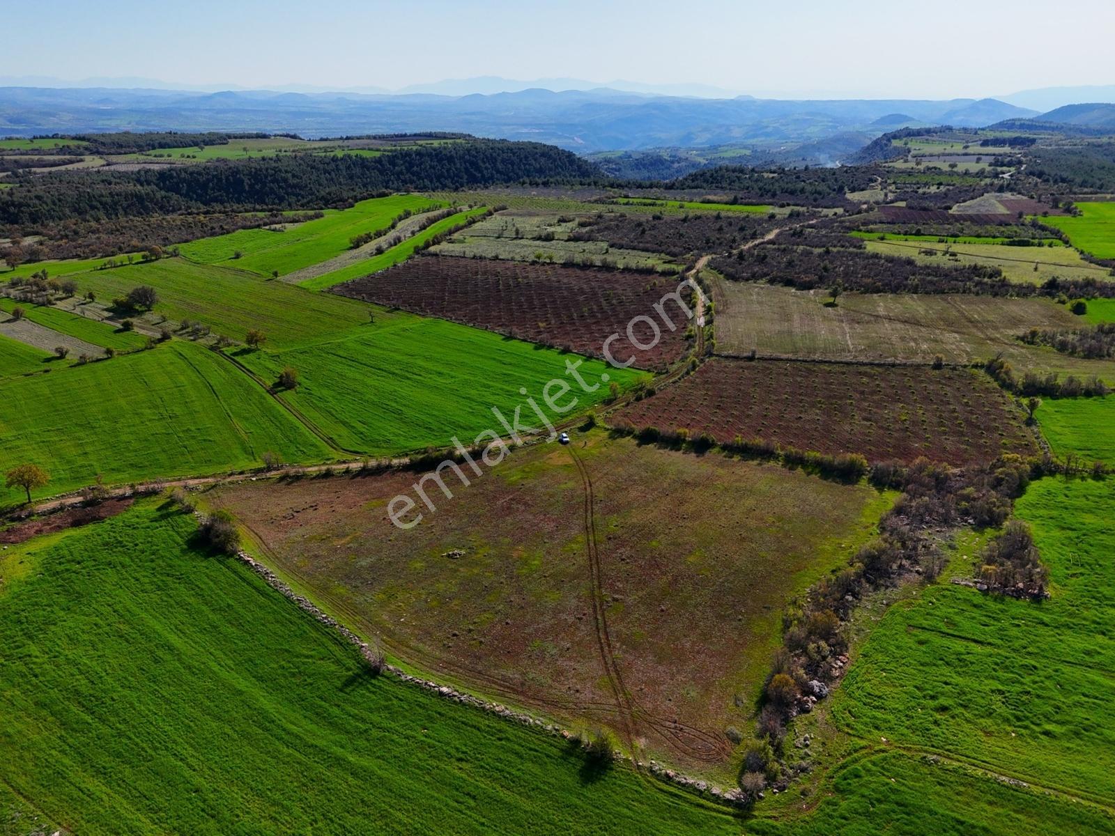 Kula'da Satılık 14250 M2 Düz Tarla (video) - Görsel 7