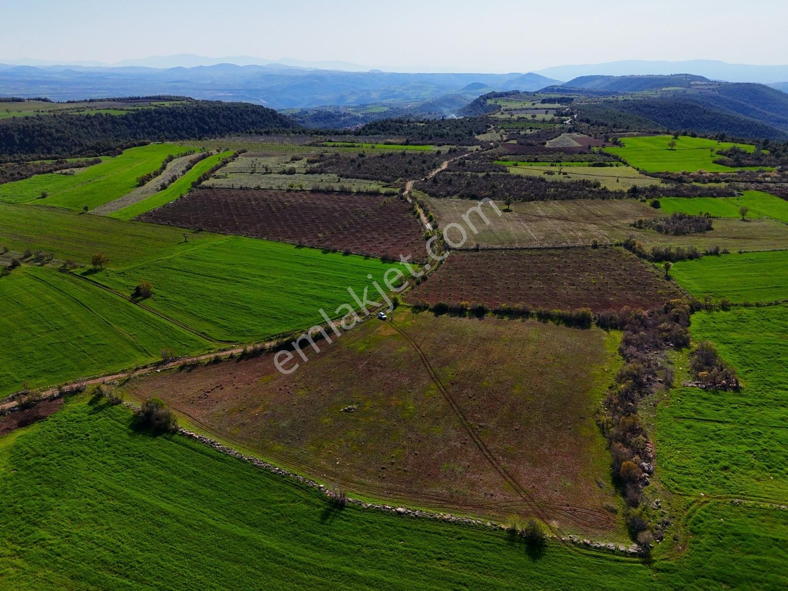 Kula'da Satılık 14250 M2 Düz Tarla (video) - Görsel 14