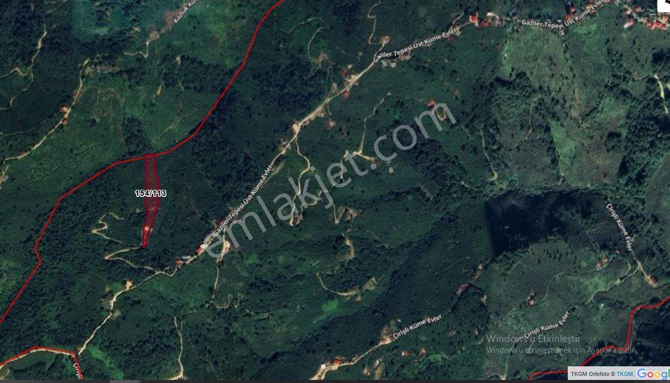 Giresun Merkez Erikliman Köyün De Satılık 6272 M2 Fındık Bahçesi Yolu Var - Görsel 2