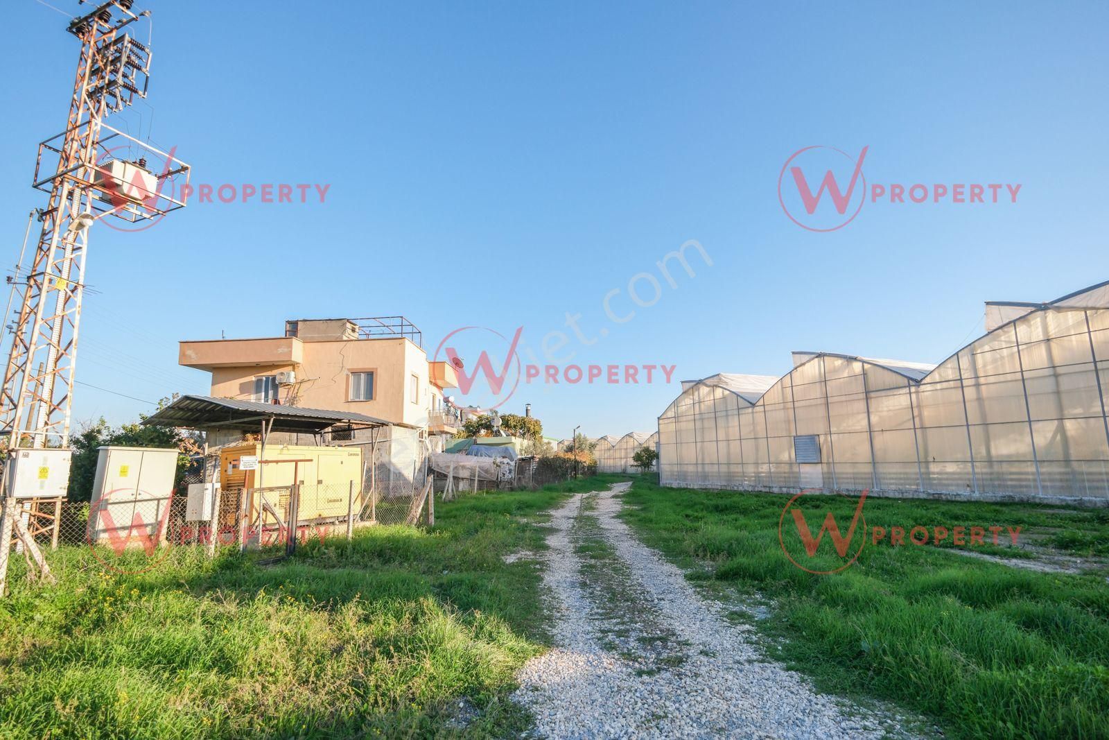 W Property 37.155 M2 Yüksek Teknolojik Topraksız Tarım Serası - Görsel 24