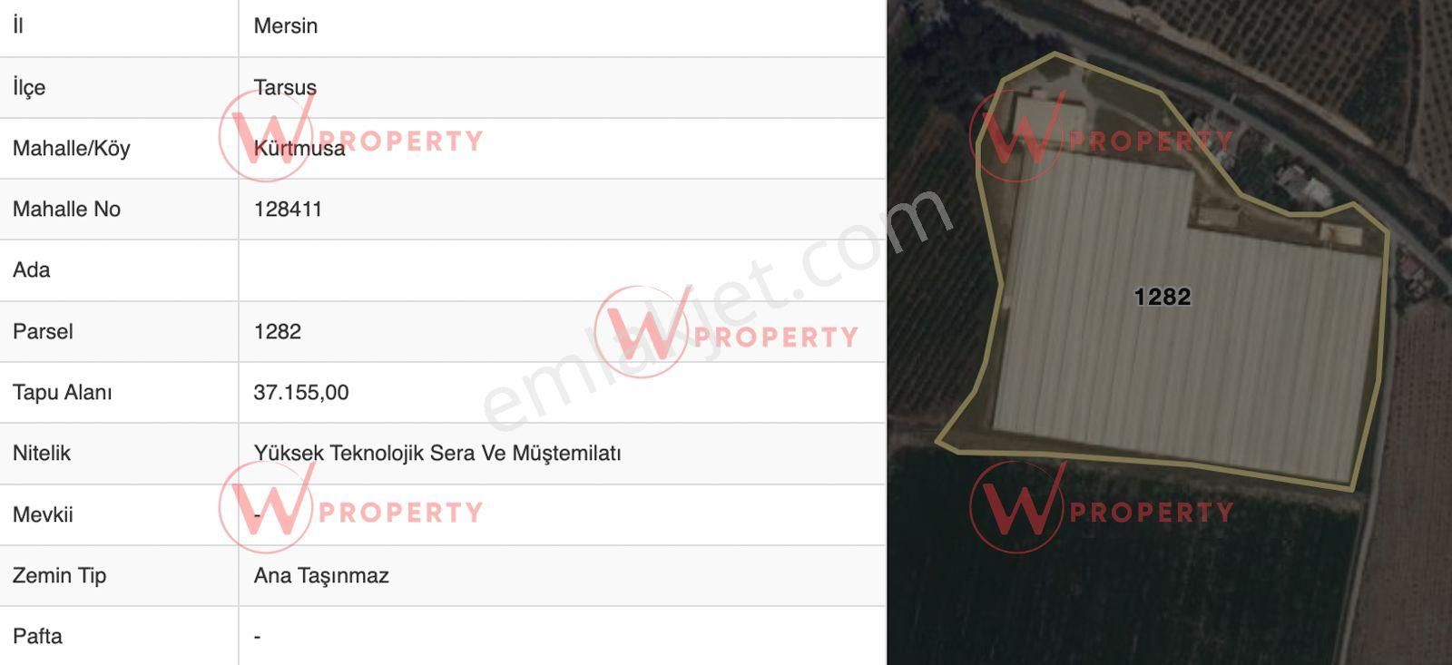 W Property 37.155 M2 Yüksek Teknolojik Topraksız Tarım Serası - Görsel 35