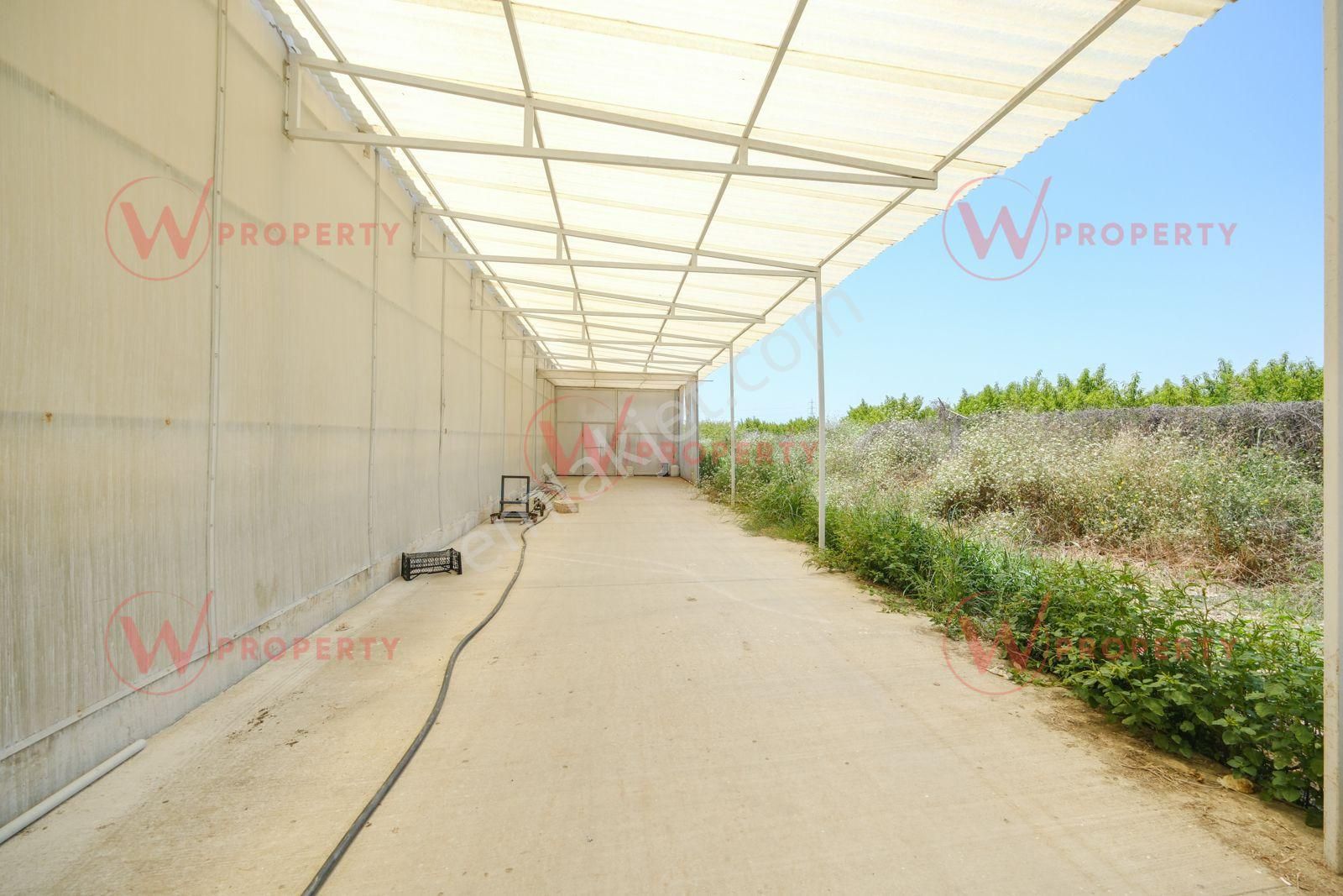 W Property 37.155 M2 Yüksek Teknolojik Topraksız Tarım Serası - Görsel 20